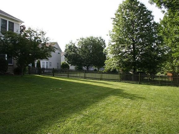 backyard looking south