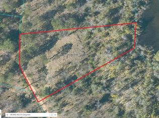 124AC Snowbowl Rd, Houghton Lake, MI 48629