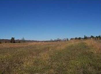 4th image of 8725 Priceville Rd