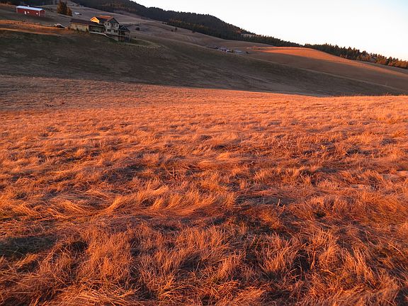2nd image of 10825 S. Bruna Road