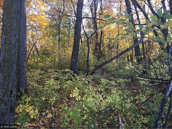 4th image of Xx 335th Avenue Washington Lake Twp