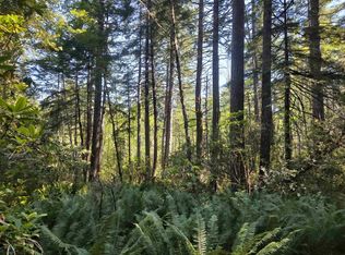 1000 Ruiz Cyn, Crescent City, CA 95531