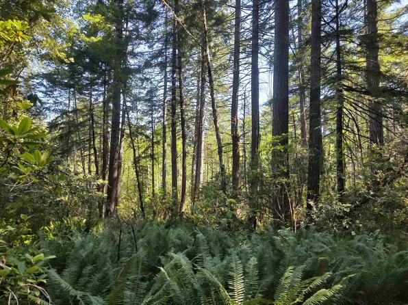 1000 Ruiz Cyn, Crescent City, CA 95531