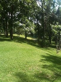 3rd image of 396 Brazos Dr