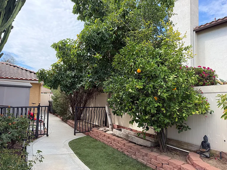 31817 Corte Mendoza — Photo 14