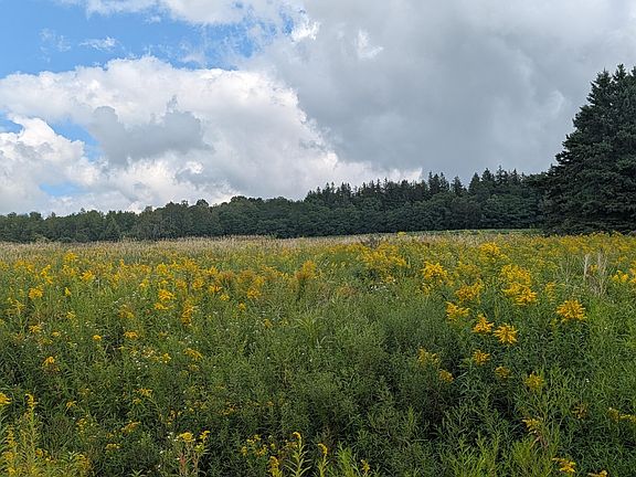 2nd image of NA E Presque Isle Road
