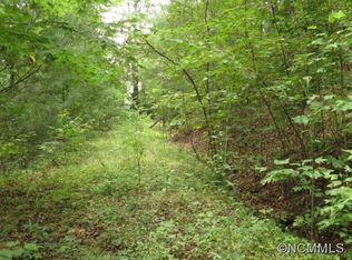 3 Gardner Ln, Pisgah Forest, NC 28768