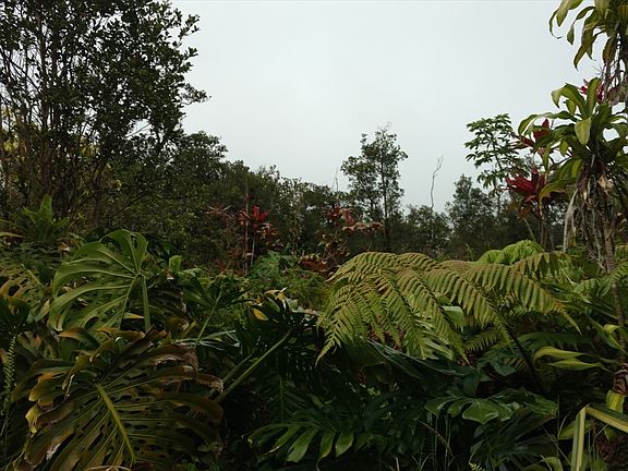 4th image of 11-1860 Wailele St Lot 50