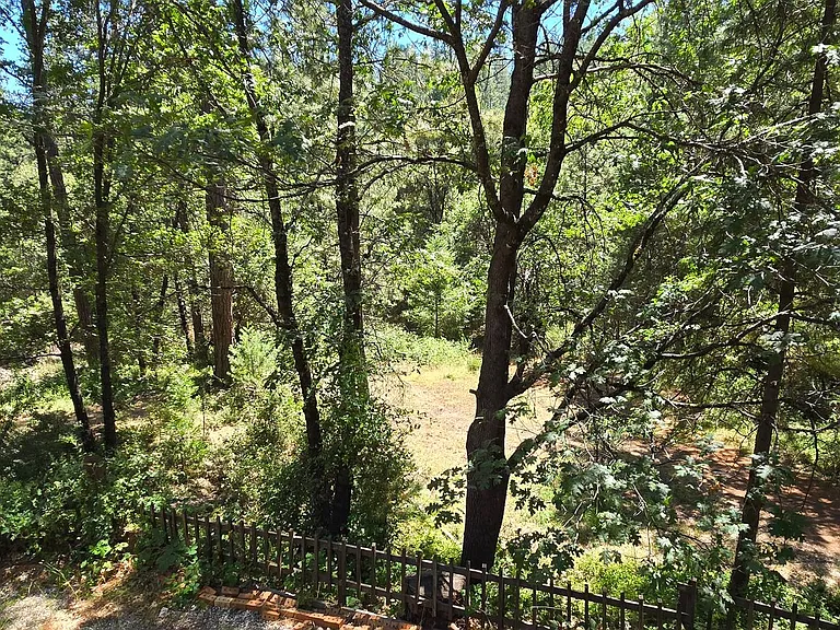 20183 Casa Loma Dr — Photo 15