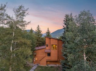 410 Tennis Club Rd #1316, Montezuma, CO 80435