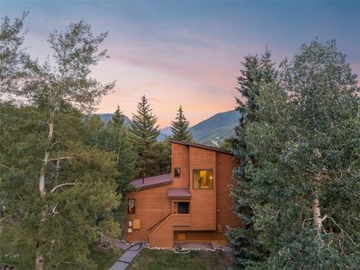 410 Tennis Club Rd #1316, Montezuma, CO, 80435