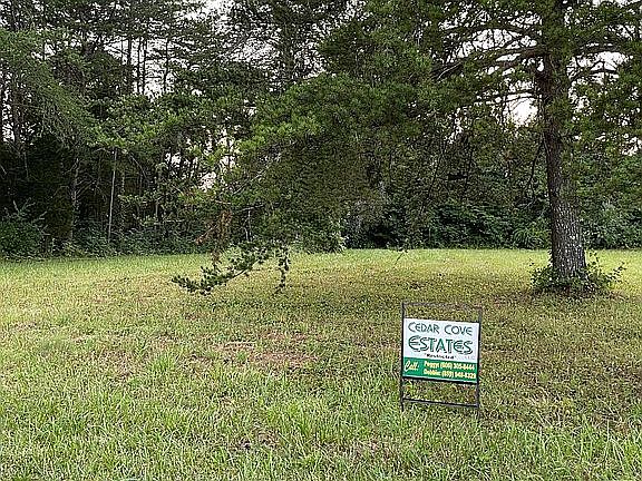 2nd image of 290 Deer Haven Dr