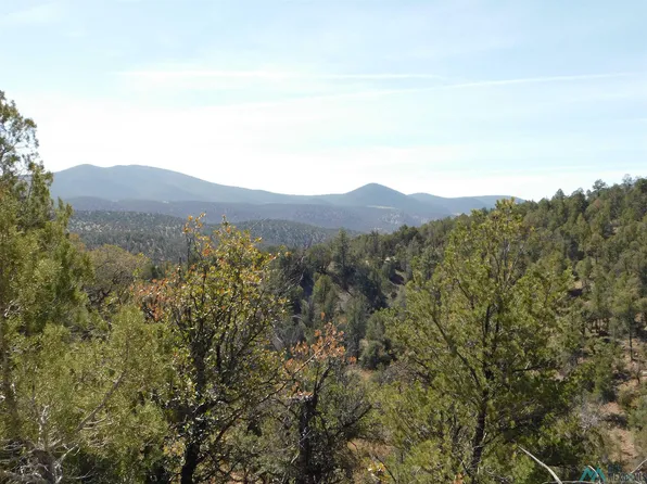 18 W Rivers Rd, Reserve, NM 87830
