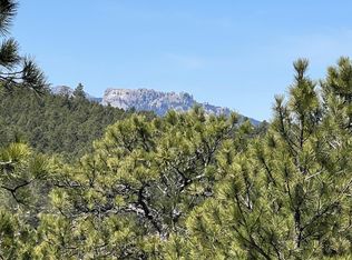 24492 Oak Meadows Ct, Keystone, SD 57751