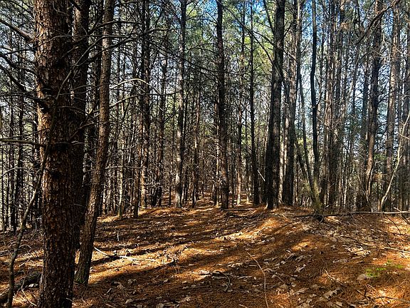 5th image of 0 Owl Hollow Trl SW Lot 6