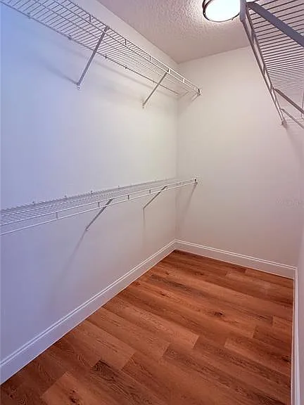 2529 Galliano Cir — Photo 20