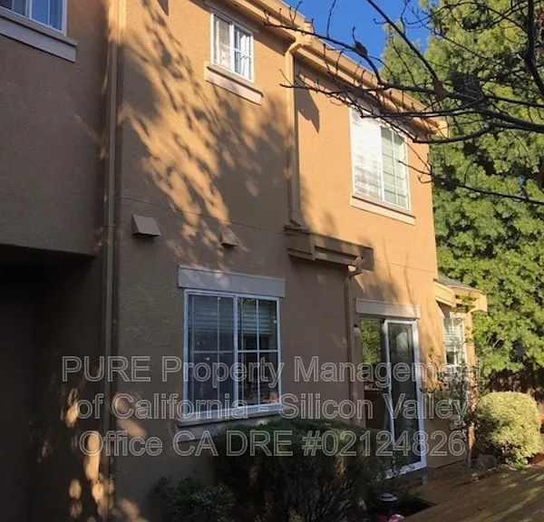 374 Pismo Ter — Photo 20