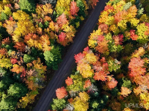 9762 Ovist Rd, Nisula, MI 49952