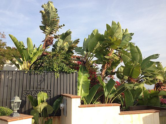3rd image of 3936 Rambla Orienta St
