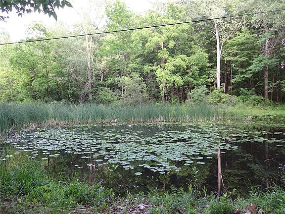 5th image of 8065 Farview Dr