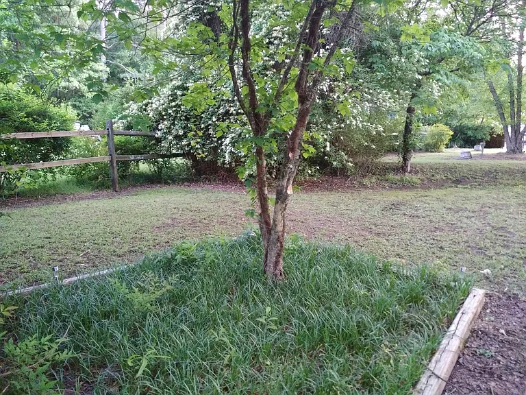 Front side yard