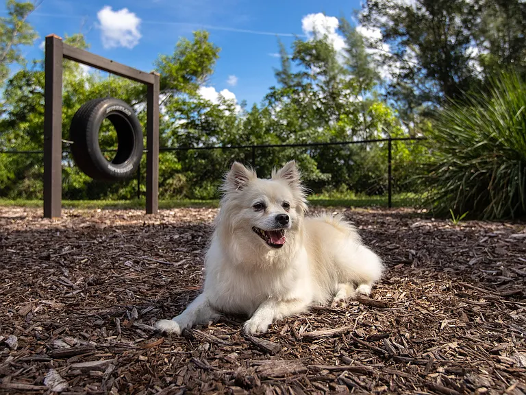 Enjoy long walks around the property and explore our off-leash bark park boasting agility equipment with your furry friends. We are the ideal pet-friendly apartment community in Naples that you and your pet deserve!
