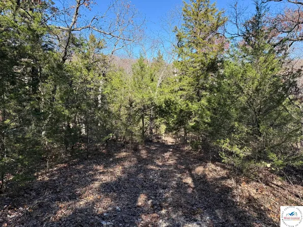 Whitetail Way, Lincoln, MO 65338