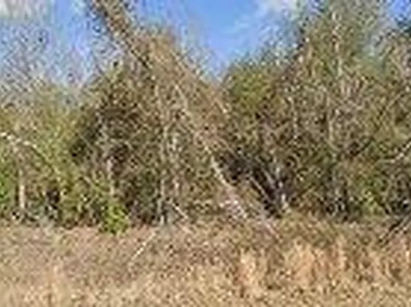 1173 Hancock Mill Ln Lot 37, Hephzibah, GA 30815