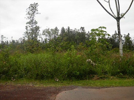 2nd image of Kaloli Dr Lot 2168