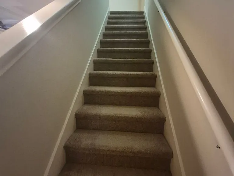 4814 Appleseed Ct — Photo 10