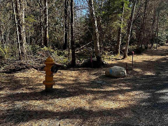 5th image of 1 Robinson Rd