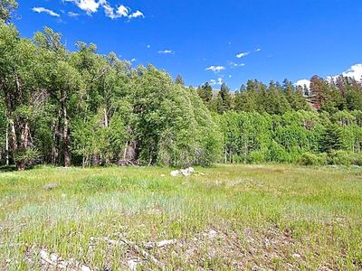 TRACT 48 County Road 771, Ohio City, CO, 81237