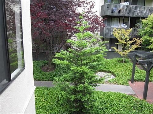 3rd image of 2242 Shelter Creek Ln