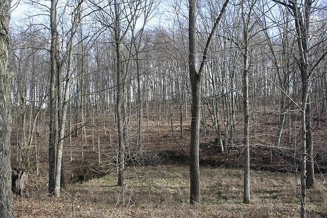 1st image of 3319 County Road 172