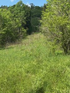 0 Blackburn Fork Rd, Gainesboro, TN, 38562