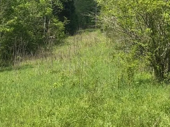 0 Blackburn Fork Rd, Gainesboro, TN 38562