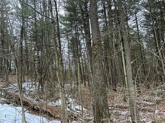 4th image of Whitaker Rd Lot 26