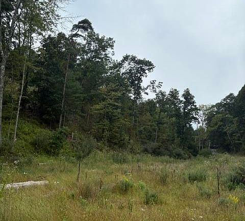 4th image of 0 Ross Rd