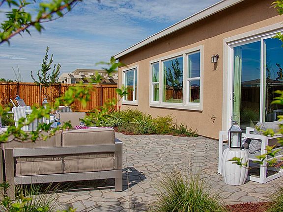 Homesite 303 - Backyard