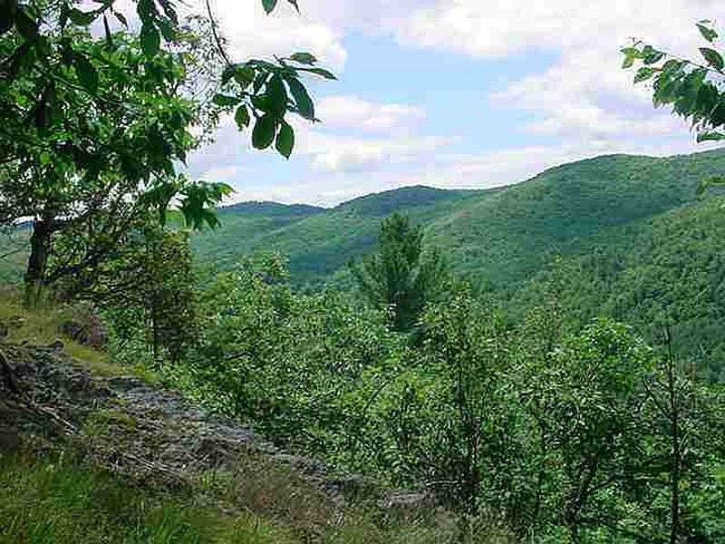 3rd image of 978 Chestnut Hill Road
