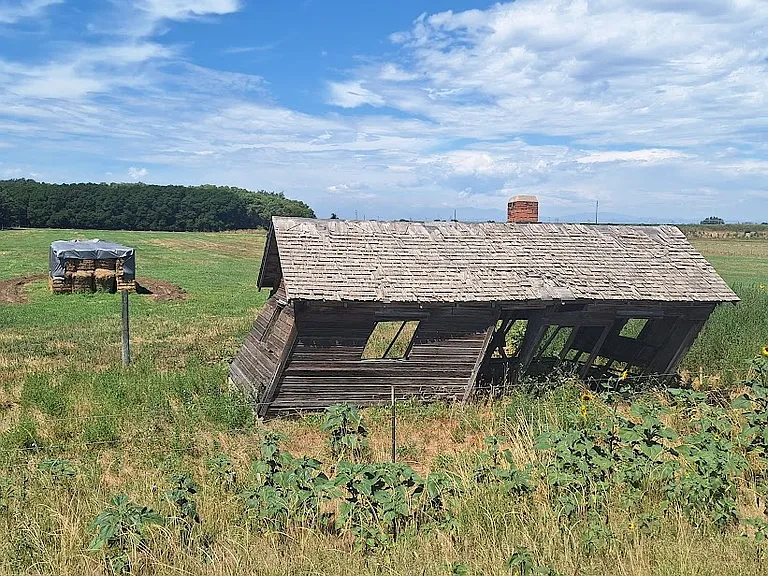 1942 S Columbine St — Photo 17