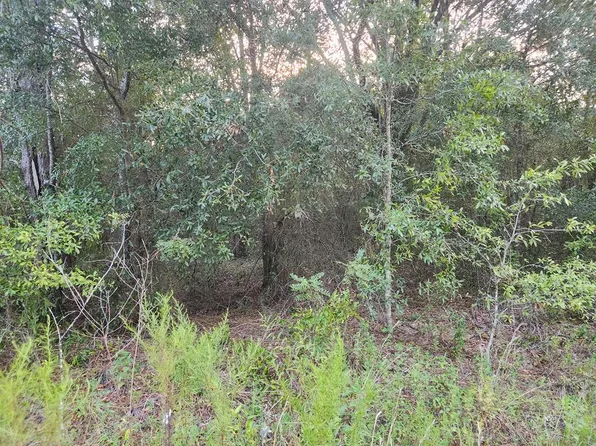 NW 12th Ct, Bell, FL 32619