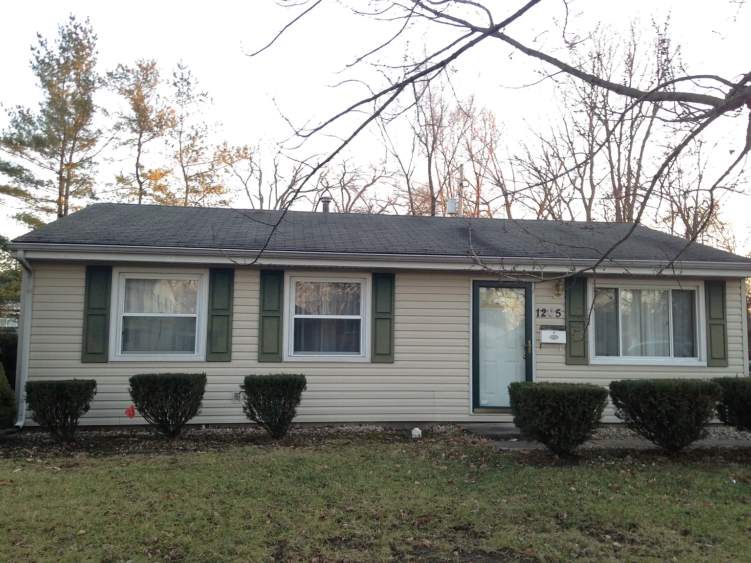 1205 Ellis Dr photo 1