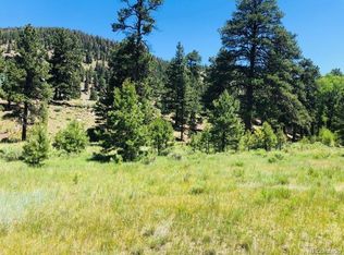 151 Wagon Train Drive, Antonito, CO 81120