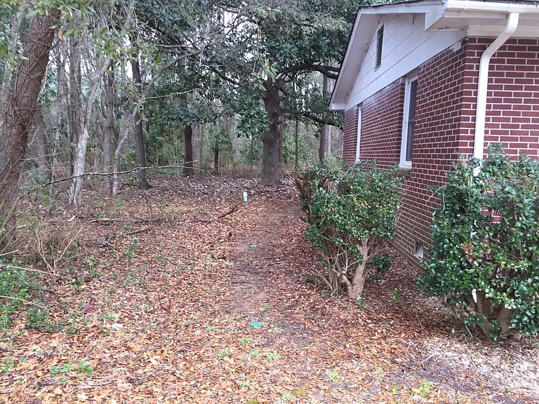 Left side of house