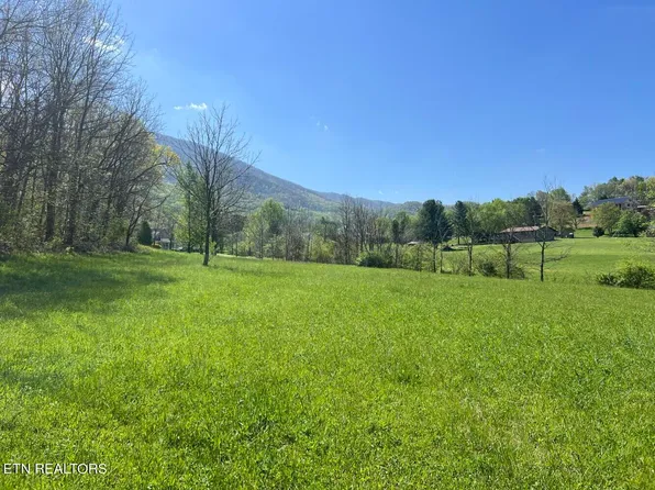 0 Spring View Dr, Sevierville, TN 37862