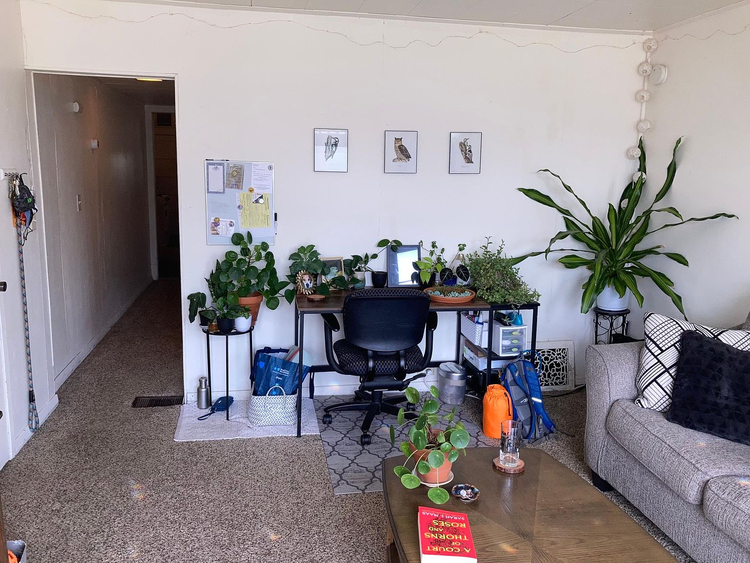 1107 E 4th St, Duluth, MN 55805 | Zillow