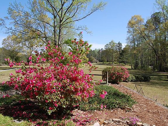 5th image of 5068 Lee Road 146