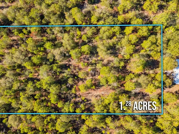 Xx Jim Cotton Dr, Defuniak Springs, FL 32433