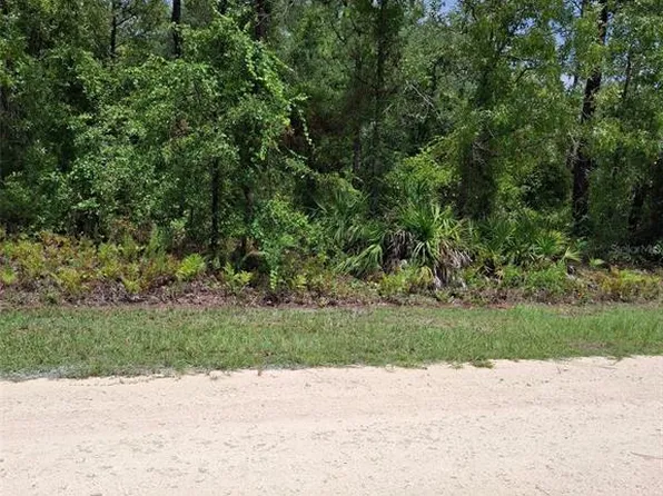 16026 Sheldrake Loop Lot 10, Brooksville, FL 34614